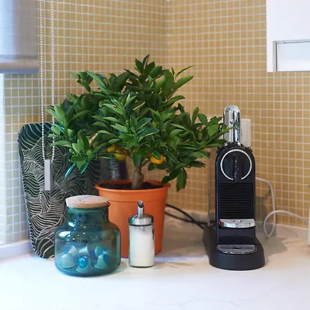 Casa Da Clementina - A Serene Garden Hébergement de vacances