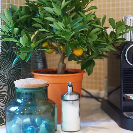 بيت للعطل Casa Da Clementina - A Serene Garden