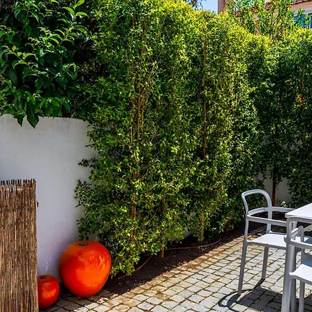 Casa Da Clementina - A Serene Garden * Lisboa